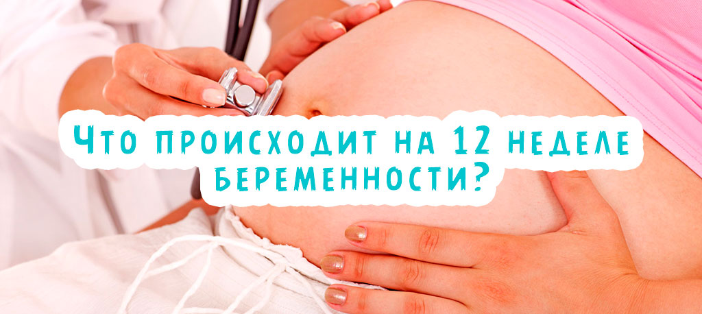 Что происходит на 12 неделе беременности?