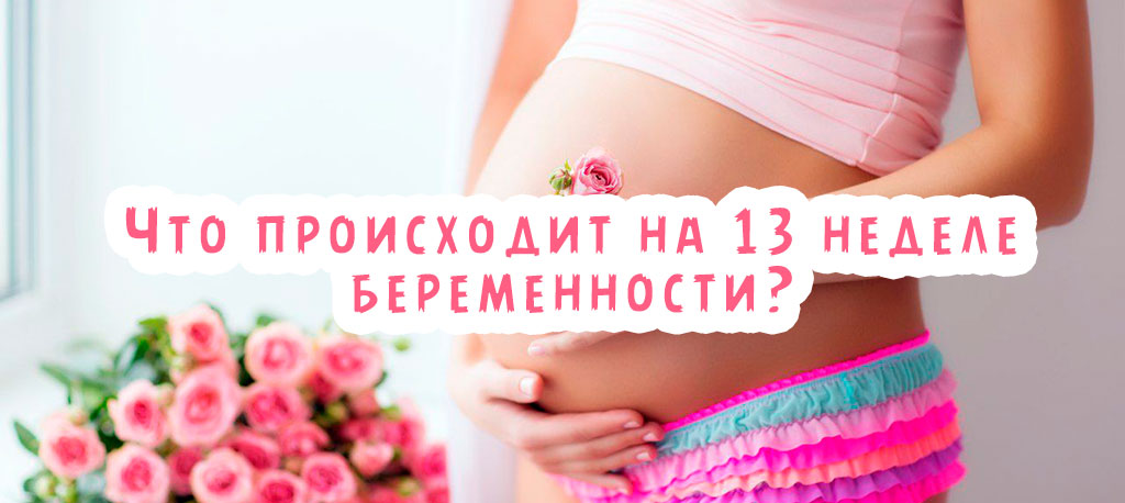 Что происходит на 13 неделе беременности?