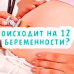 Что происходит на 12 неделе беременности?