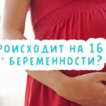 Что происходит на 16 неделе беременности?