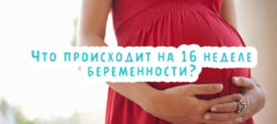 Что происходит на 16 неделе беременности?