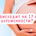 Что происходит на 17 неделе беременности?