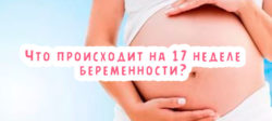 Что происходит на 17 неделе беременности?