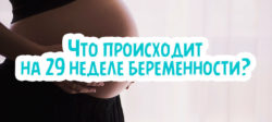 Что происходит на 29 неделе беременности?